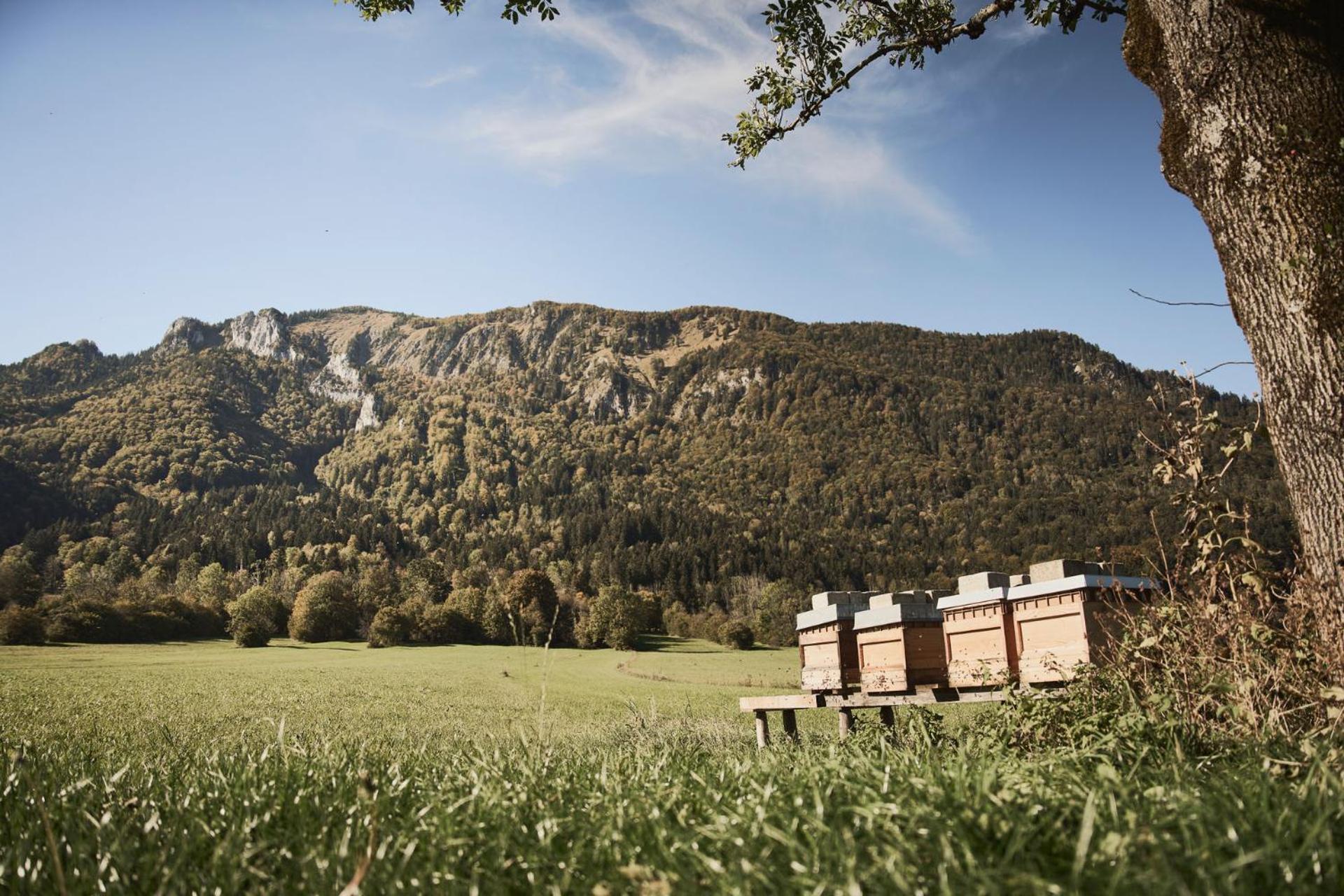 Hotel Rait'Ner Wirt Schleching Exteriér fotografie